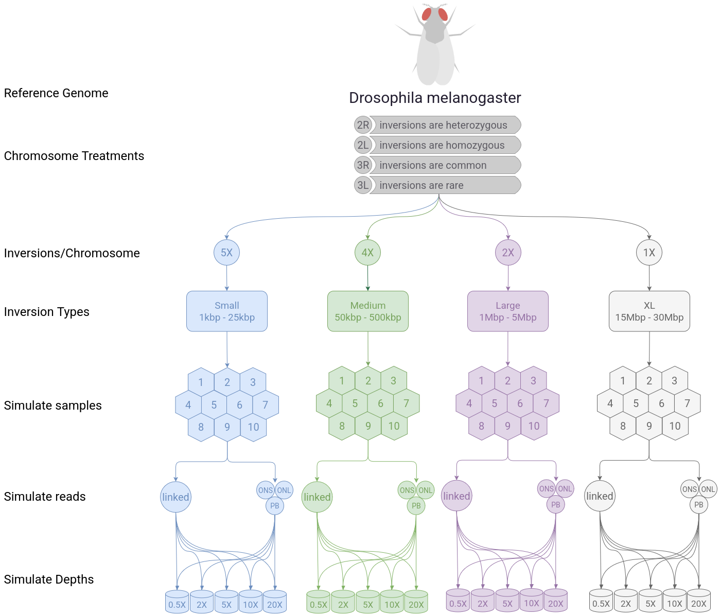 simulation diagram