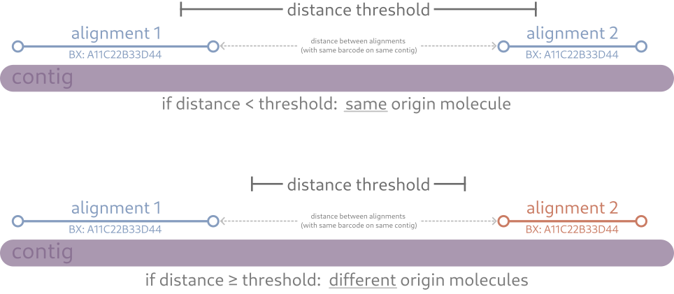 Molecule origin is determined by the distance between alignments with the same barcode relative to the specified threshold