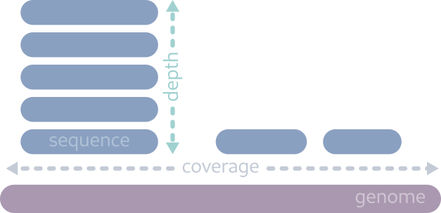 The difference between depth and coverage. The locus on the left would be considered 5X.