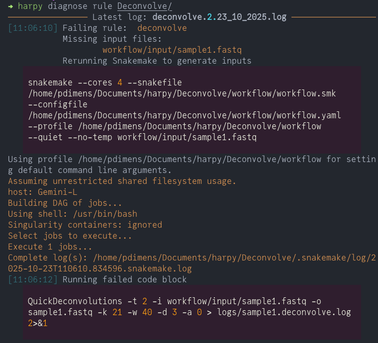 terminal output of diagnose rule