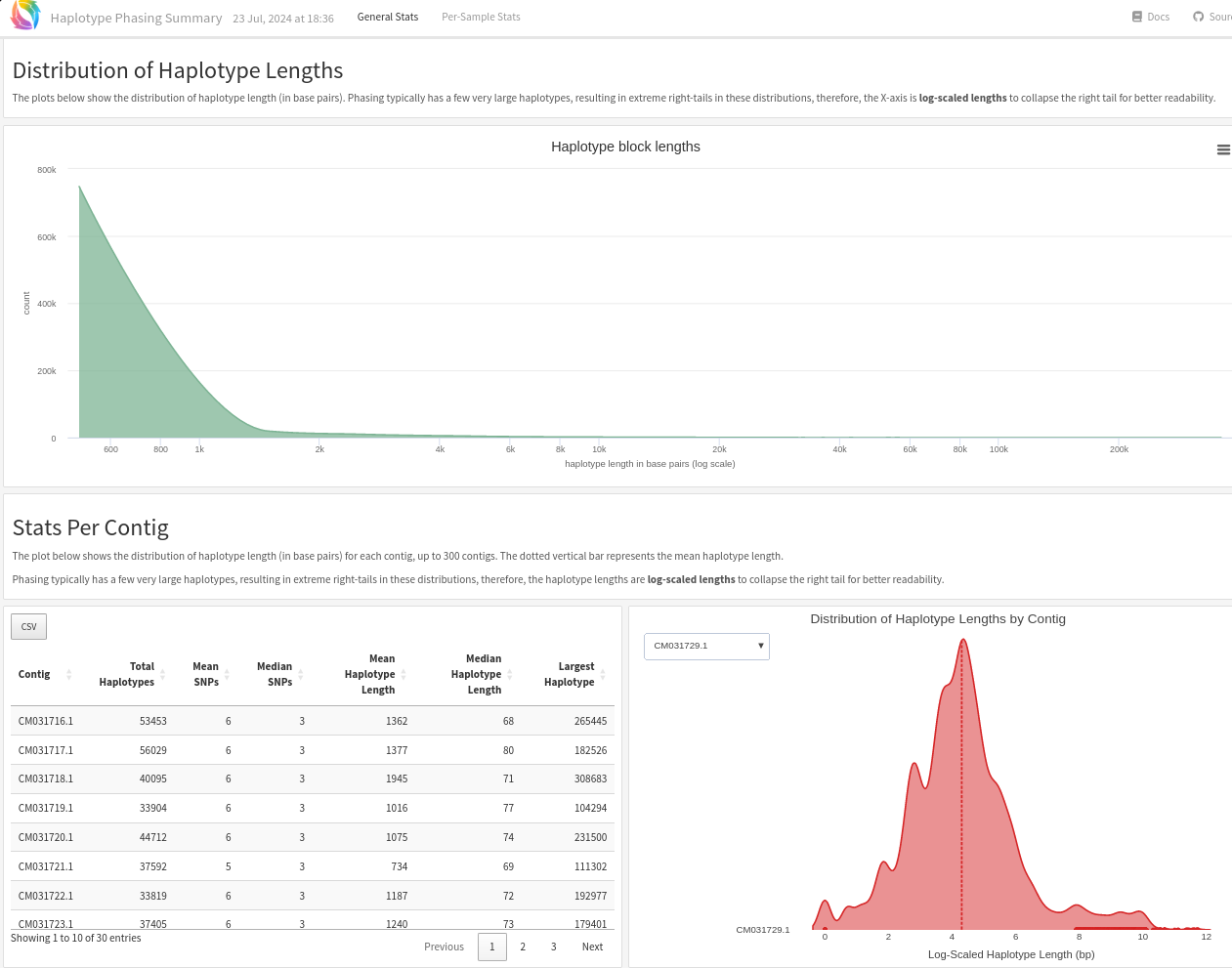 reports/phase.html