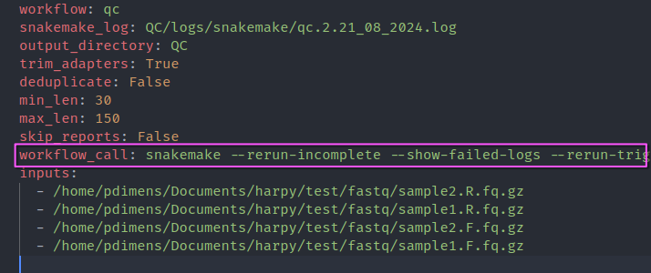 copy and paste this command directly to see Snakemake error text